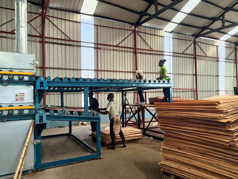 Pengering roller untuk venir yang dihiris