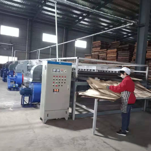 Pengering venir dan papan lapis
